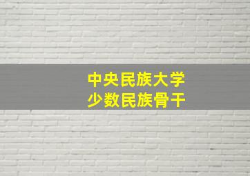 中央民族大学 少数民族骨干